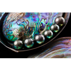 Parfum Perle Noire