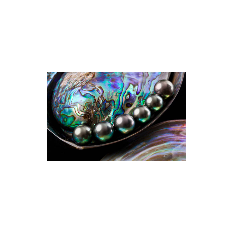 Parfum Perle Noire